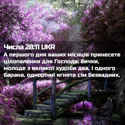 Picture 02 - Числа 28:11 UKR - А першого дня ваших - Bible Verse Picture