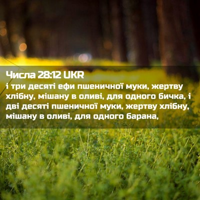 Picture 02 - Числа 28:12 UKR - і три десяті ефи пшеничної - Bible Verse Picture