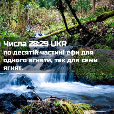 Picture 02 - Числа 28:29 UKR - по десятій частині ефи для - Bible Verse Picture