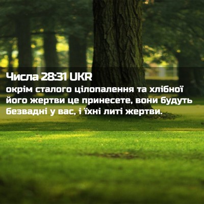 Picture 02 - Числа 28:31 UKR - окрім сталого цілопалення - Bible Verse Picture