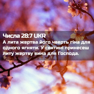 Picture 02 - Числа 28:7 UKR - А лита жертва його чверть - Bible Verse Picture