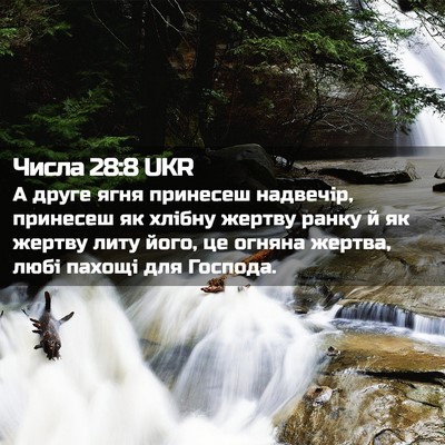 Picture 02 - Числа 28:8 UKR - А друге ягня принесеш - Bible Verse Picture