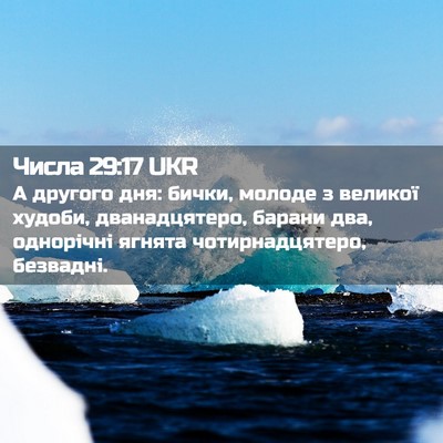 Picture 02 - Числа 29:17 UKR - А другого дня: бички, - Bible Verse Picture