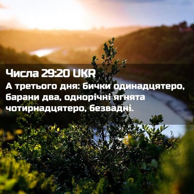 Picture 02 - Числа 29:20 UKR - А третього дня: бички - Bible Verse Picture