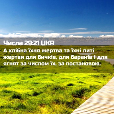 Picture 02 - Числа 29:21 UKR - А хлібна їхня жертва та - Bible Verse Picture
