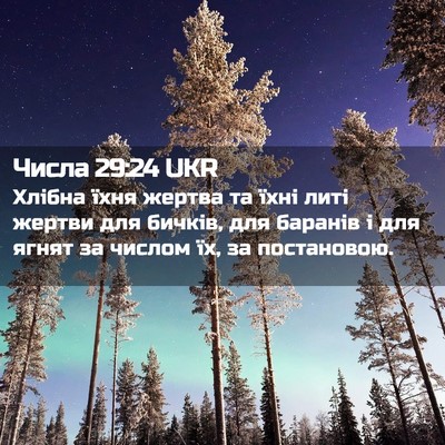 Picture 02 - Числа 29:24 UKR - Хлібна їхня жертва та їхні - Bible Verse Picture