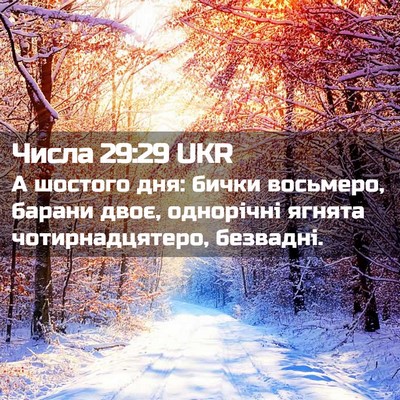 Picture 02 - Числа 29:29 UKR - А шостого дня: бички - Bible Verse Picture