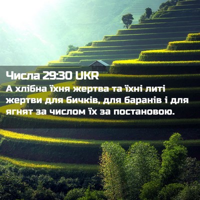 Picture 02 - Числа 29:30 UKR - А хлібна їхня жертва та - Bible Verse Picture