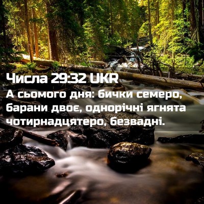 Picture 02 - Числа 29:32 UKR - А сьомого дня: бички - Bible Verse Picture