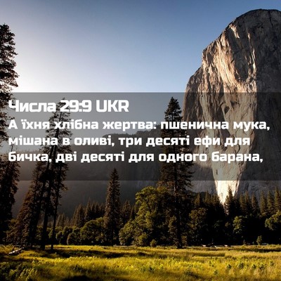 Picture 02 - Числа 29:9 UKR - А їхня хлібна жертва: - Bible Verse Picture