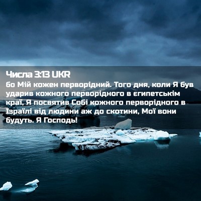 Picture 02 - Числа 3:13 UKR - бо Мій кожен перворідний. - Bible Verse Picture