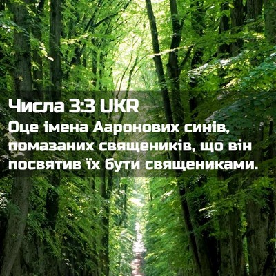 Picture 02 - Числа 3:3 UKR - Оце імена Ааронових синів, - Bible Verse Picture