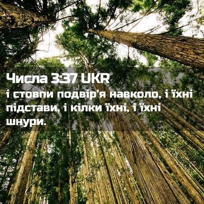 Picture 02 - Числа 3:37 UKR - і стовпи подвір'я навколо, - Bible Verse Picture