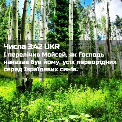Picture 02 - Числа 3:42 UKR - І перелічив Мойсей, як - Bible Verse Picture