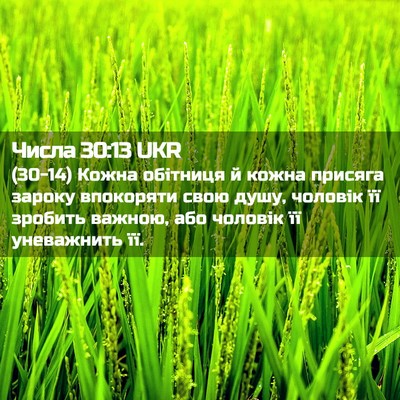 Picture 02 - Числа 30:13 UKR - (30-14) Кожна обітниця й кожна - Bible Verse Picture