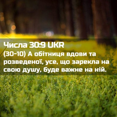 Picture 02 - Числа 30:9 UKR - (30-10) А обітниця вдови та - Bible Verse Picture