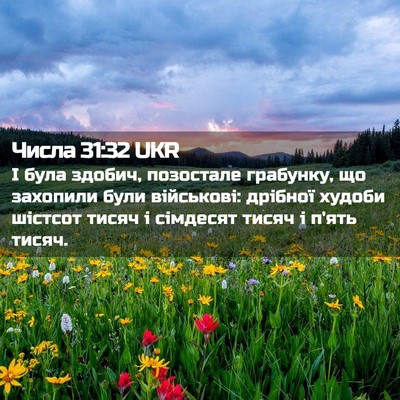 Picture 02 - Числа 31:32 UKR - І була здобич, позостале - Bible Verse Picture