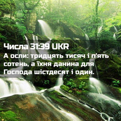 Picture 02 - Числа 31:39 UKR - А осли: тридцять тисяч і - Bible Verse Picture