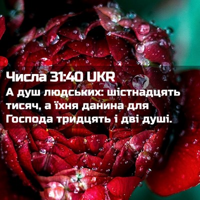 Picture 02 - Числа 31:40 UKR - А душ людських: - Bible Verse Picture
