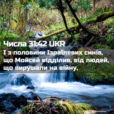 Picture 02 - Числа 31:42 UKR - І з половини Ізраїлевих - Bible Verse Picture