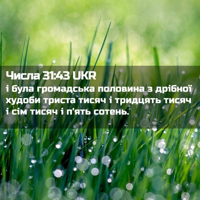 Picture 02 - Числа 31:43 UKR - і була громадська половина - Bible Verse Picture