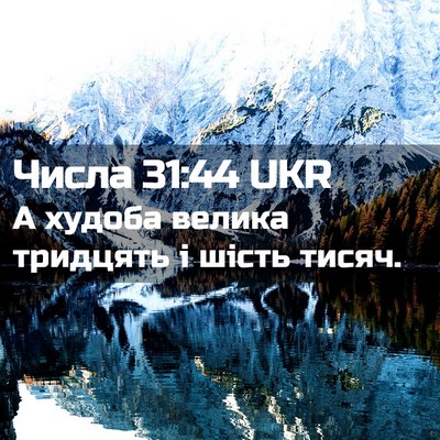 Picture 02 - Числа 31:44 UKR - А худоба велика тридцять і - Bible Verse Picture