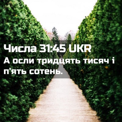 Picture 02 - Числа 31:45 UKR - А осли тридцять тисяч і - Bible Verse Picture