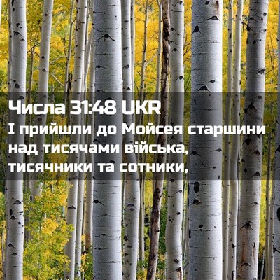 Picture 02 - Числа 31:48 UKR - І прийшли до Мойсея - Bible Verse Picture