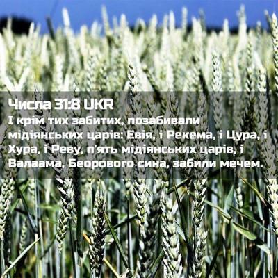 Picture 02 - Числа 31:8 UKR - І крім тих забитих, - Bible Verse Picture