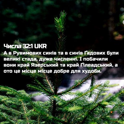 Picture 02 - Числа 32:1 UKR - А в Рувимових синів та в - Bible Verse Picture
