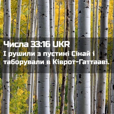 Picture 02 - Числа 33:16 UKR - І рушили з пустині Сінай і - Bible Verse Picture