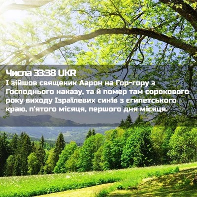 Picture 02 - Числа 33:38 UKR - І зійшов священик Аарон на - Bible Verse Picture