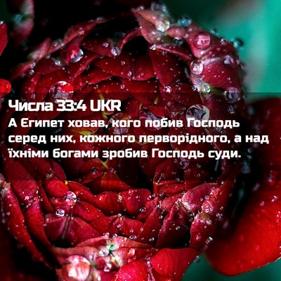 Picture 02 - Числа 33:4 UKR - А Єгипет ховав, кого побив - Bible Verse Picture