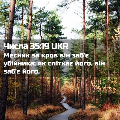 Picture 02 - Числа 35:19 UKR - Месник за кров він заб'є - Bible Verse Picture