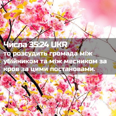 Picture 02 - Числа 35:24 UKR - то розсудить громада між - Bible Verse Picture