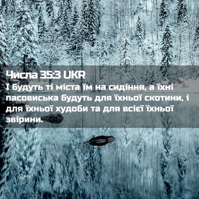 Picture 02 - Числа 35:3 UKR - І будуть ті міста їм на - Bible Verse Picture