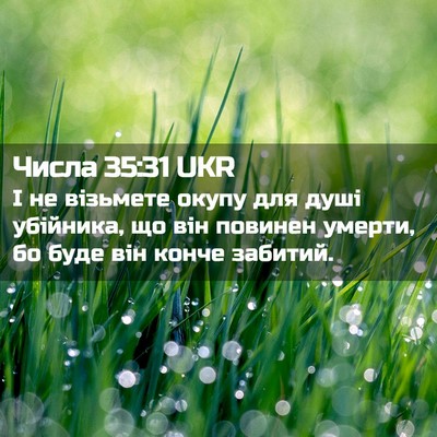 Picture 02 - Числа 35:31 UKR - І не візьмете окупу для - Bible Verse Picture