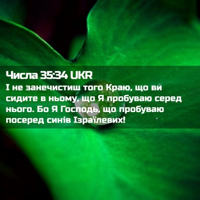 Picture 02 - Числа 35:34 UKR - І не занечистиш того Краю, - Bible Verse Picture