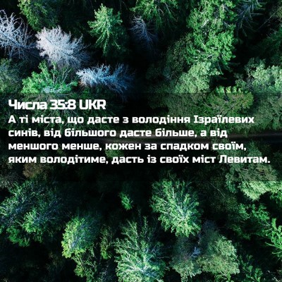 Picture 02 - Числа 35:8 UKR - А ті міста, що дасте з - Bible Verse Picture