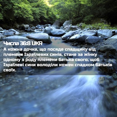 Picture 02 - Числа 36:8 UKR - А кожна дочка, що посяде - Bible Verse Picture