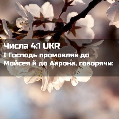 Picture 02 - Числа 4:1 UKR - І Господь промовляв до - Bible Verse Picture