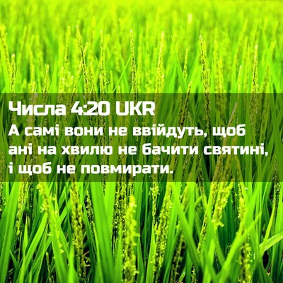 Picture 02 - Числа 4:20 UKR - А самі вони не ввійдуть, - Bible Verse Picture