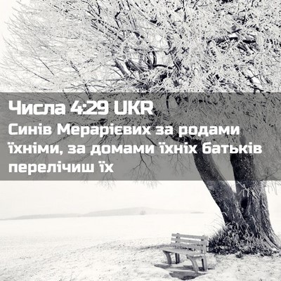Picture 02 - Числа 4:29 UKR - Синів Мерарієвих за родами - Bible Verse Picture