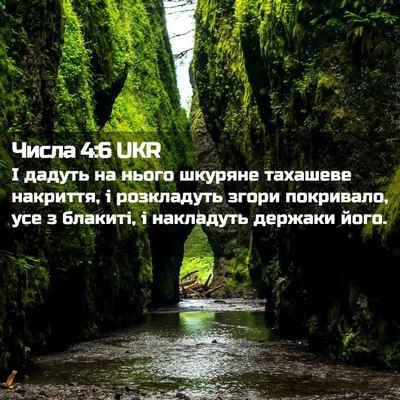 Picture 02 - Числа 4:6 UKR - І дадуть на нього шкуряне - Bible Verse Picture
