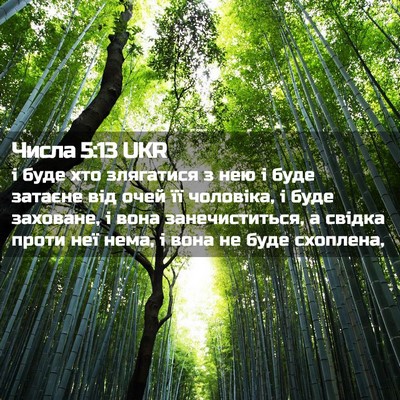 Picture 02 - Числа 5:13 UKR - і буде хто злягатися з нею - Bible Verse Picture