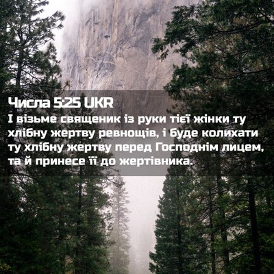 Picture 02 - Числа 5:25 UKR - І візьме священик із руки - Bible Verse Picture