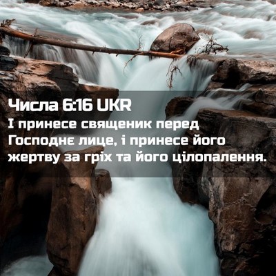 Picture 02 - Числа 6:16 UKR - І принесе священик перед - Bible Verse Picture