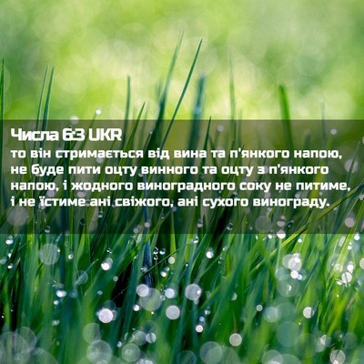 Picture 02 - Числа 6:3 UKR - то він стримається від - Bible Verse Picture
