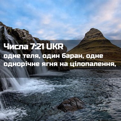 Picture 02 - Числа 7:21 UKR - одне теля, один баран, одне - Bible Verse Picture