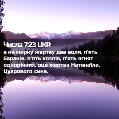 Picture 02 - Числа 7:23 UKR - а на мирну жертву два воли, - Bible Verse Picture